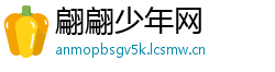 翩翩少年网